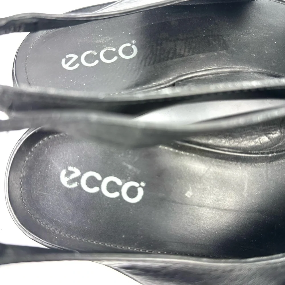Ecco criss cross